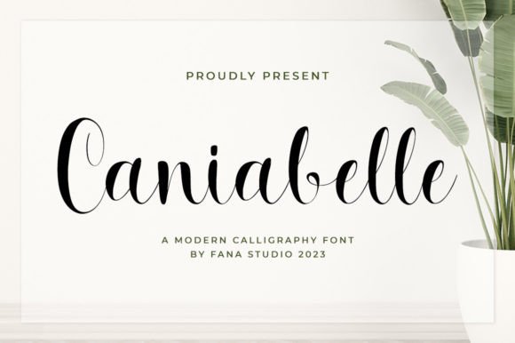 Caniabelle: A Stylish Font for Creative Campaigns