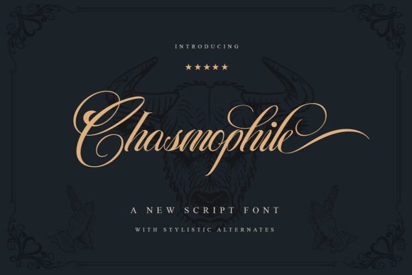 Chasmophile Font: Elevate Your Brand with a Stylish Script Typeface