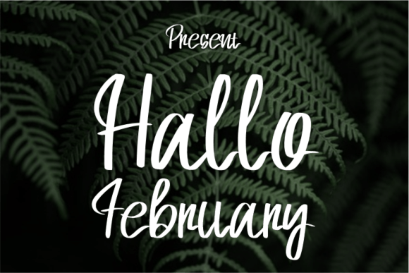 Hallo February Font for Elegant Branding