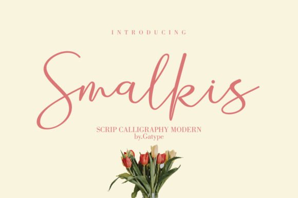 Smalkis Font for Elegant Design